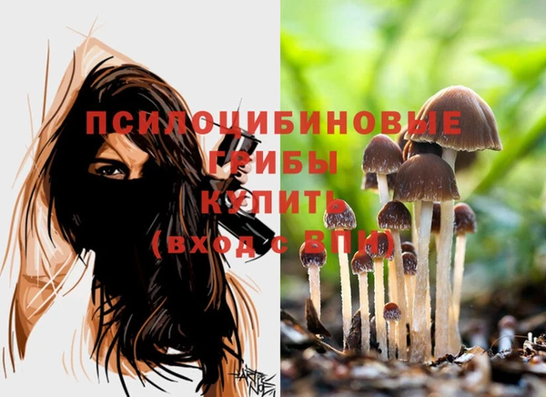 ешки Красноперекопск