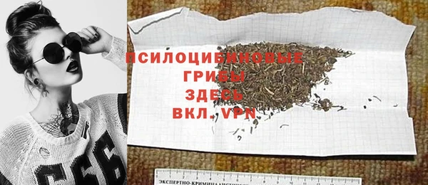 тгк Краснослободск