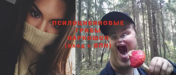 СК Кукмор