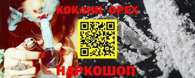 гидра Камышлов
