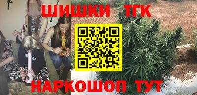 гидра Камышлов