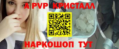 гидра Камышлов