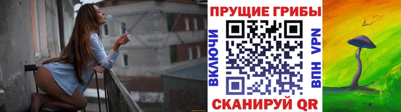 mega как зайти  Троицк  Псилоцибиновые грибы Magic Shrooms 