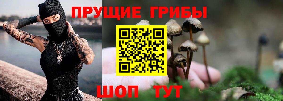 Псилоцибиновые грибы прущие грибы  Галлюциногенные грибы Magic Shrooms  Вход с VPN  Троицк 
